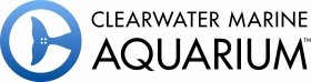 Clearwater Marine Aquarium Small