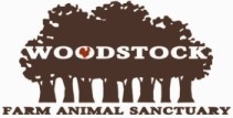 woodstock fas logo